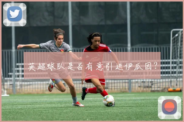 英超球队是否有意引进伊瓜因？