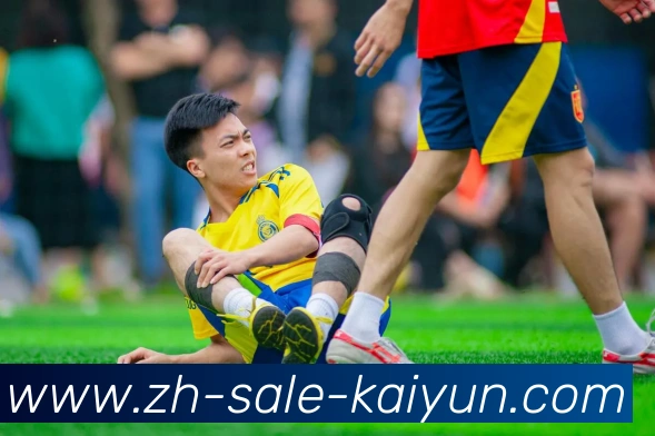 kaiyun平台生态图