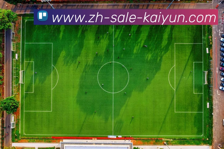 数据防护可视化